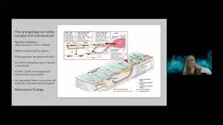 Functions of microbes in subsurface aquatic habitats - Heidi Smith