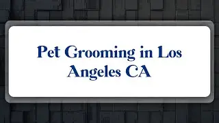Top 10 Pet Grooming in Los Angeles, CA