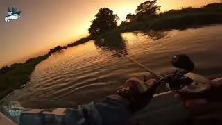 Pesca Nocturna, Snook Fishing y Robaleros del Sur
