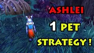 Leveling Your WoW Pet Quickly - 8 Levels In 1 Battle