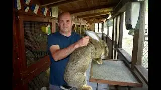 Visite d'un &eacute;levage de lapin cher M. Chassagny Olivier