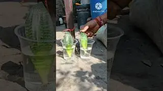 how to grow snake plant in water #gardening #viral vira