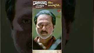 Rajadhani Files