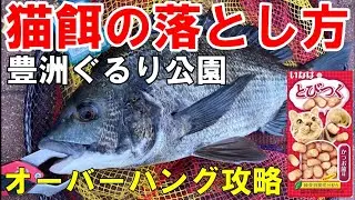 ビギナー必見「ヘチ釣り」猫餌の落とし方・豊洲ぐるり公園！
