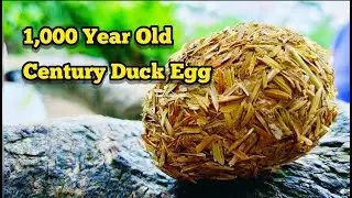 How To Cook & Eat 1,000 Year Old Century Egg