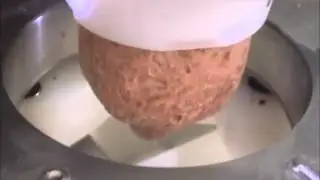 Egg Feeder for Scotch Egg Encrusting Machine Option