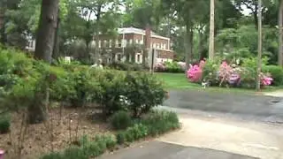 David Petro Video MPEG.mpg
