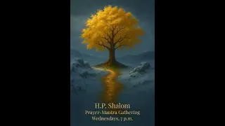 Wednesday Night's Prayer Gathering at 8 pm tonight - The Wisdom of the Shalom