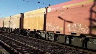 RAILPOOL BR 186 286 im Bahnhof Stendal im Februar 2019