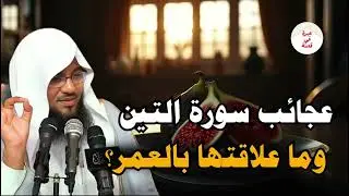 تفسير سورة التين عجائب مذهلة مع فضيلة الشيخ محمد الشنقيطي #قصص القران