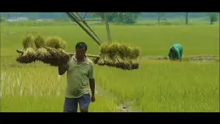 Documentary on FIS Schemes of Bijni Irrigation Division | Department of Irrigation | Assam