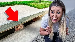 PERDEMOS NOSSA CACHORRINHA EM UMA FLORESTA MAL ASSOMBRADA! *O PIOR ACONTECEU*