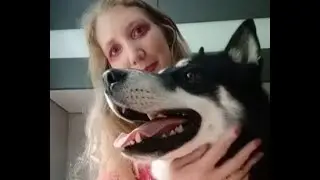 Barbie Shooting 🎀 mit Husky 🤣💙 | 🐺 Husky Goraidh 🐾