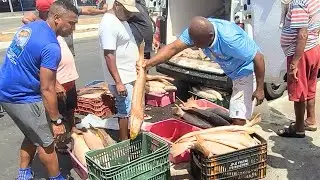 A Vida dos Pescadores em Aracaju: E o Mercado de Pescados