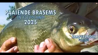 BRASEMS gaan helemaal los | 2025  Paaitijd