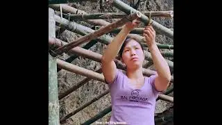 Step-by-Step Bamboo House Build with Thatched Roofing