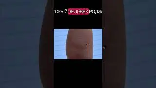17 ноября 2025 г.