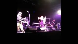 The Rootstrikers