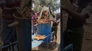 🌱Natural Turmeric powder😊👍To order our farm fresh products kindly check www.organicfarmer.store👍😊🌴🌸🌱