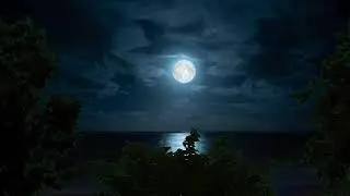 relax under moonlight