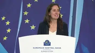 Ninth ECB Annual Research Conference 2024: Session 6