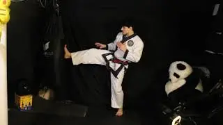 How To Do A Front Kick/Push Kick