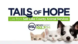 Dave & Dujanovic discuss changes to the animal shelters in Utah!