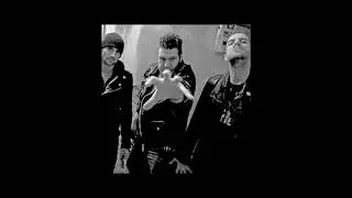 Anstalt - Hate the Police