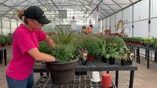 Fall Planter Tutorial