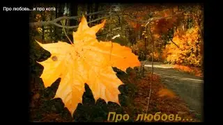 Про любовь...и про кота