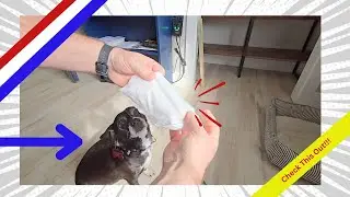 I Used Earth Rated Pet Wipes on My Dog and Here's What Happened!