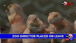 El Paso Zoo Director Joe Montisano placed on temporary administrative leave by city