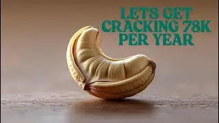 How to Start a Profitable Cashew Nut Processing Business in Africa | Full Plan & Cost Breakdown