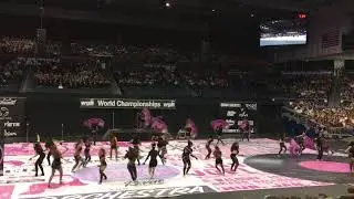 West Broward World Guard 2019 Midnight Radio WGI National Championship