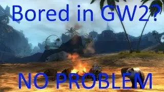 How to have Fun in Guild Wars 2 (100 Subscribers Special)