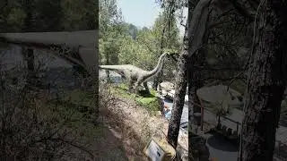 Dino Valley Islamabad in Summer 2025 #trending #dinosaur #travel #dinosaurride #dinosaurmovie