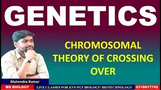 #chromosomal theory of crossing over#genetics#emrs#kvs#nvs#pgt#biology#biotechnology# genetics.