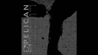 Pelican - The Woods