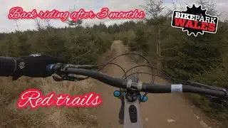 Bike park wales - Reds