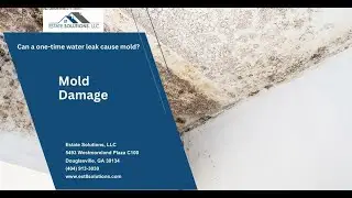 Can a One-Time Water Leak Cause Mold? | Estate Solutions - Atlanta Metro Area