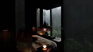 Cozy Rainforest Bedroom with Soothing Rain Sounds for Sleep & Relaxation | Rainy Night Dreamer #rain