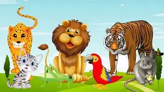 Family And Forest Funny moments Animals, Tiger,Cat,Rat, Lion Parrot video|