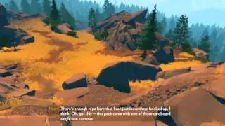 Firewatch - Henry & Delilah