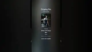 Dripping Wet &mdash; Sounds, Songs & Frequencies | Official Audio / Suno Exclusive #music