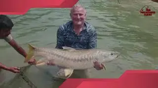 The Quest For The Majestic Golden Mahseer | Pancheshwar Fishing | Uttarakhand, India