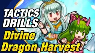 Fire Emblem Heroes &mdash; Тактические упражнения: Исследования навыков 97: Божественный драконий урожай! [FEH]