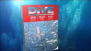 DIVE Magazine Autumn 2020 Print Issue