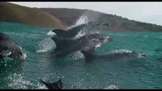 Oceans: Our Blue Planet @ Science North IMAX&reg;!