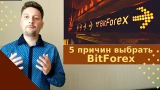 5 причин выбрать биржу BitForex.