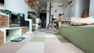 Day in the Life of 10 Cat Parent  (Part 2)